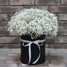Цветочная композиция из Гипсофила в шляпной коробке #REPLACE_PRED# Светлом Оренбургская область