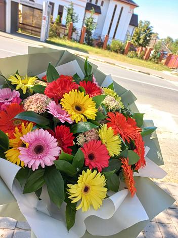 Букет цветов из: Герберы в Светлом Оренбургская область